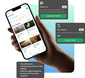 Top 18 Reasons to Use Farmers Hub Marketplace to Sell Your Cattle Online